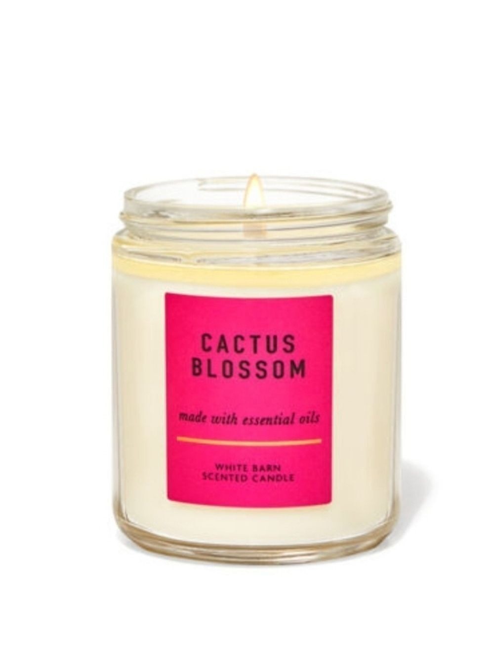 CACTUS BLOSSOM SINGLE WICK CANDLE